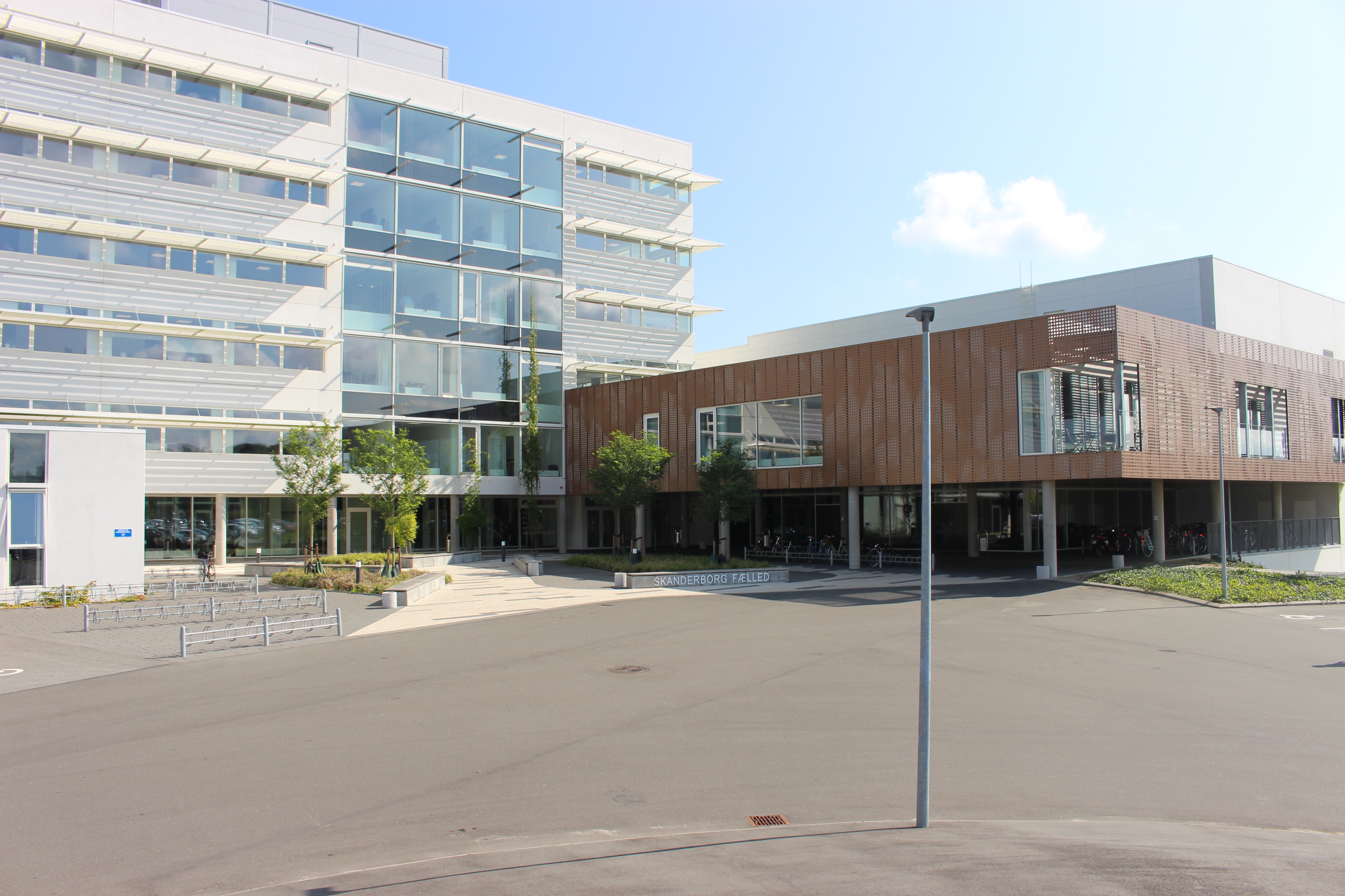 Skanderborg Fælled