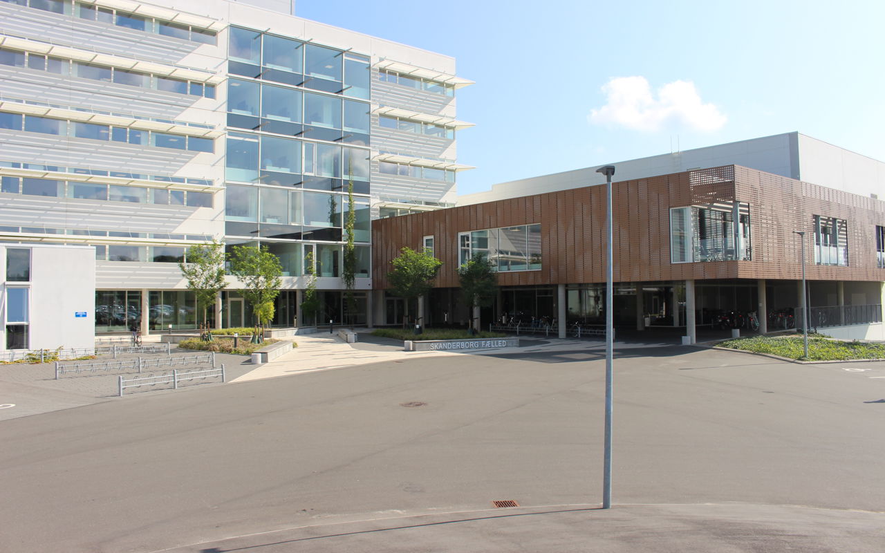 Skanderborg Fælled